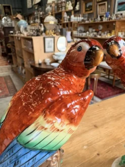 Paire de perroquets en porcelaine Sitzendorf – Allemagne