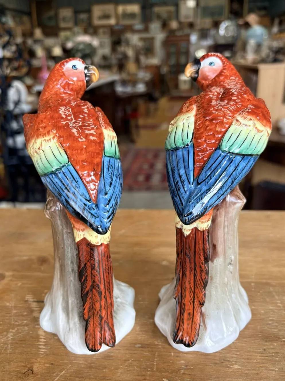 Paire de perroquets en porcelaine Sitzendorf – Allemagne