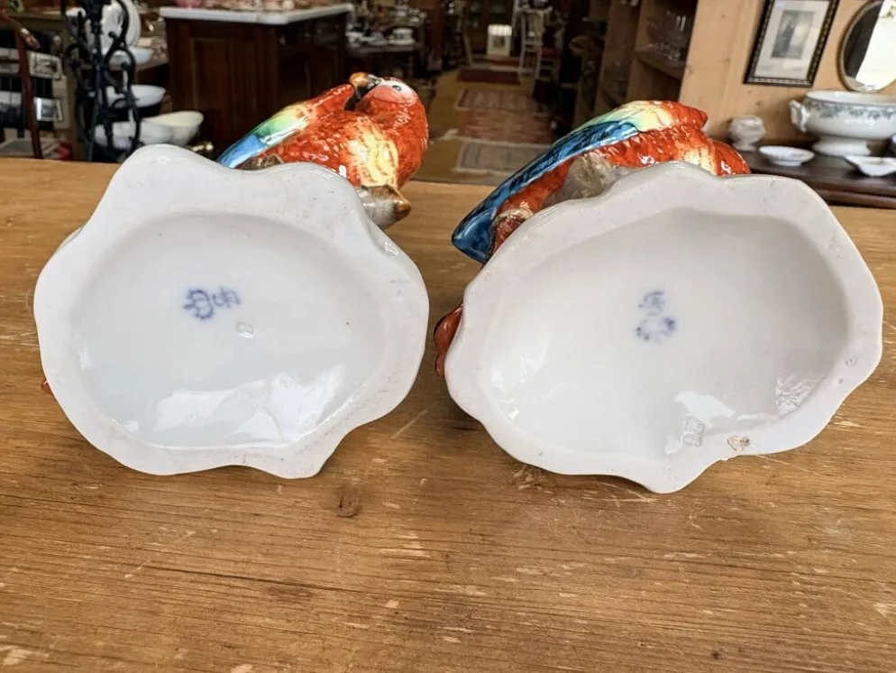 Paire de perroquets en porcelaine Sitzendorf – Allemagne