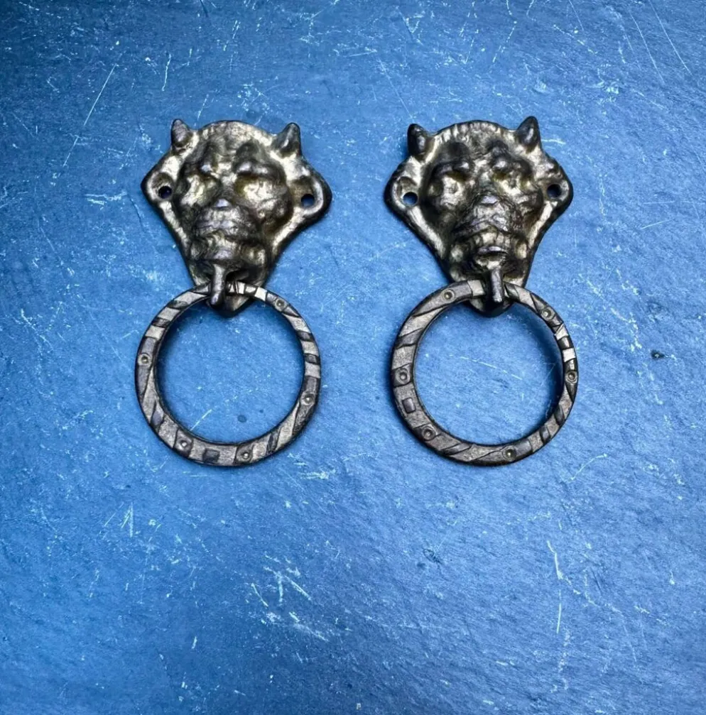 Paire de poignées de tiroir en bronze diable Art Nouveau