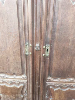 paire de porte d armoire ancienne en chene