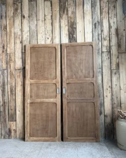 Paire de portes d’armoire