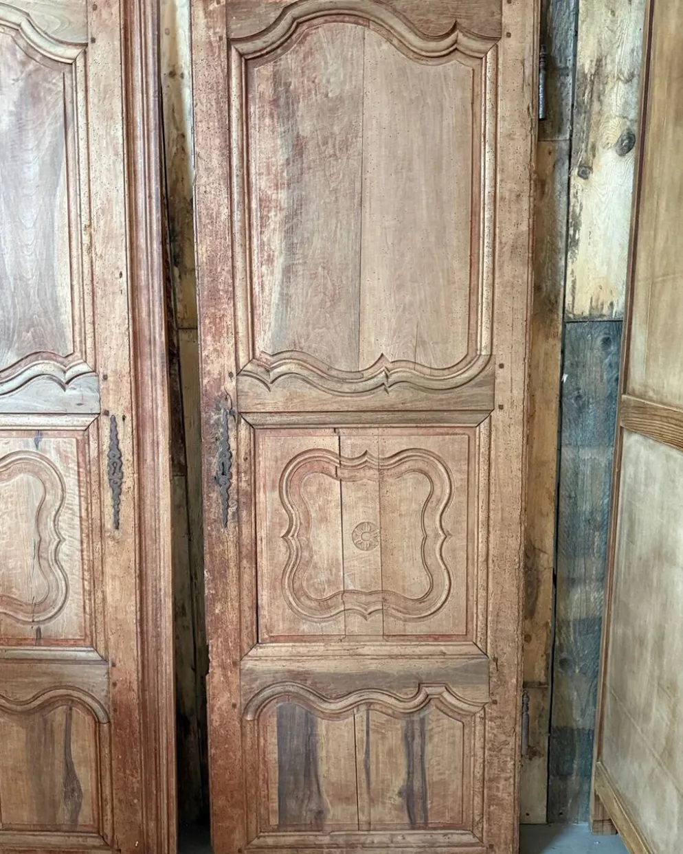 Paire de portes d’armoire anciennes