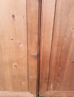 Paire de portes 248x129cm anciennes