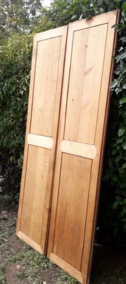 Paire de portes 248x129cm anciennes