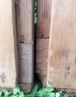 Paire de portes 248x129cm anciennes