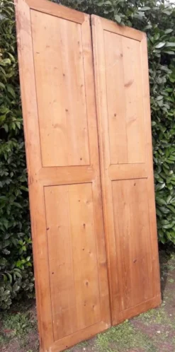 Paire de portes 248x129cm anciennes