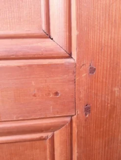 Paire de portes 248x129cm anciennes