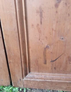 Paire de portes 248x129cm anciennes