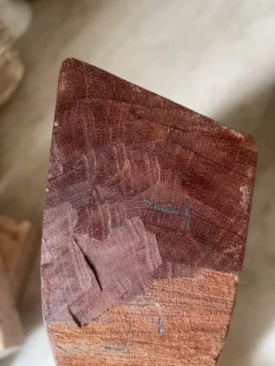 Paire de serre-livres en bois exotique vintage