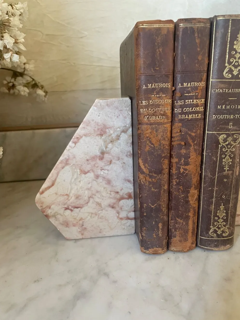 Paire de serre-livres en marbre
