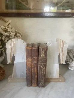 Paire de serre-livres tête de cheval vintage en onyx