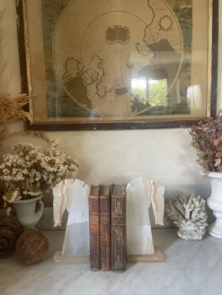 Paire de serre-livres tête de cheval vintage en onyx