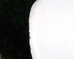 Paire transat chaise longue de Charles Zublena en fibre de verre, années 60