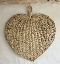 Palme éventail XL