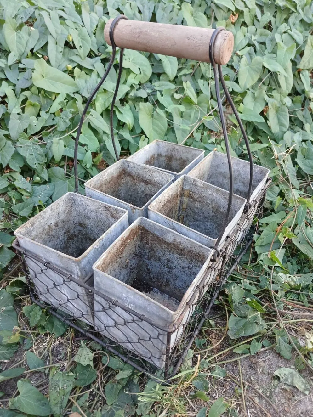 Panier en fil de fer grillagé