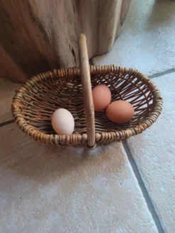 Panier en osier campagnard