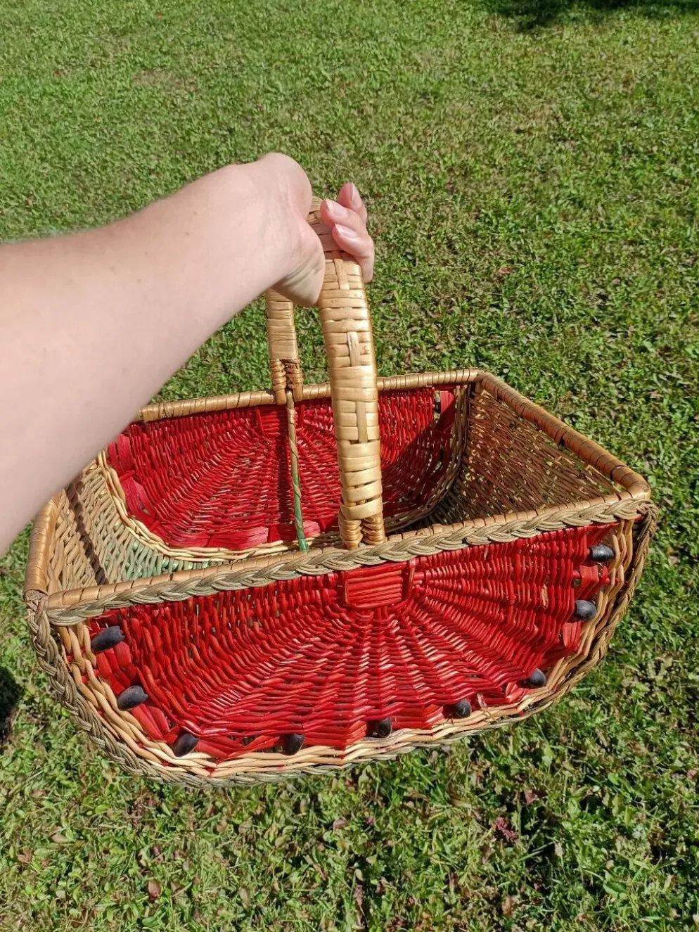 Panier pastèque rétro