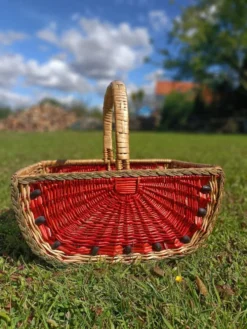 Panier pastèque rétro