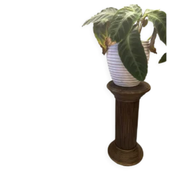 Pédestal à plantes en rotin vintage