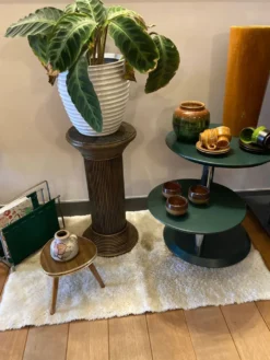 Pédestal à plantes en rotin vintage