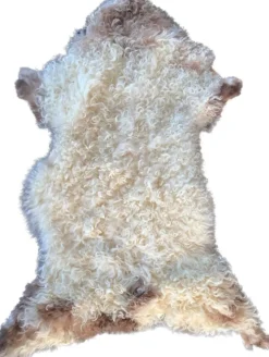 Peau Agneau du Béarn Neuve