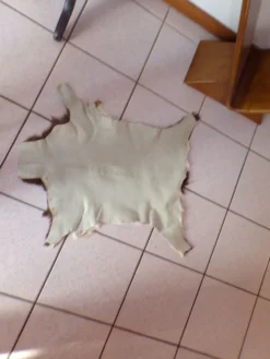Peau de chevreau naturelle 65x53