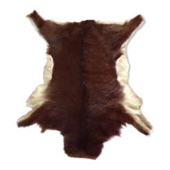 Peau de chevreau naturelle 65x53