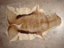 Peau de chèvre ou impala tannée 50x100cm