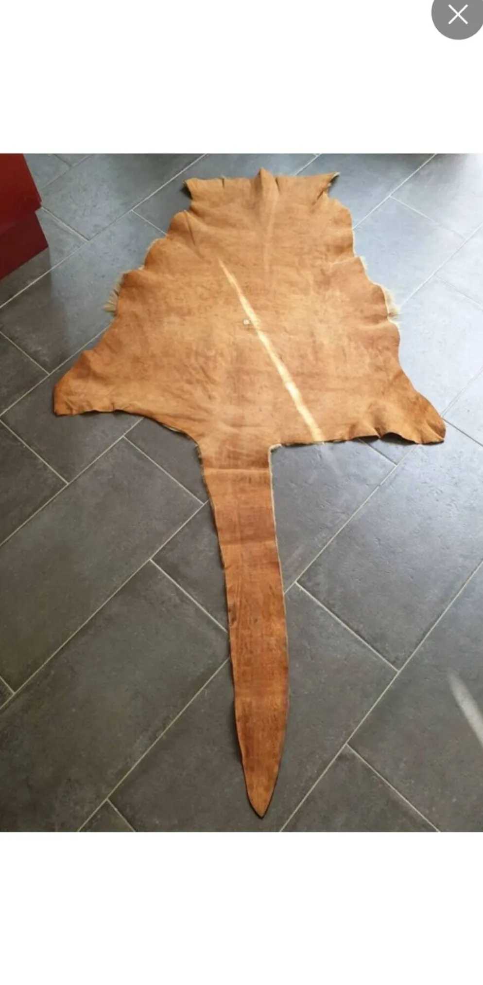 Peau de kangourou
