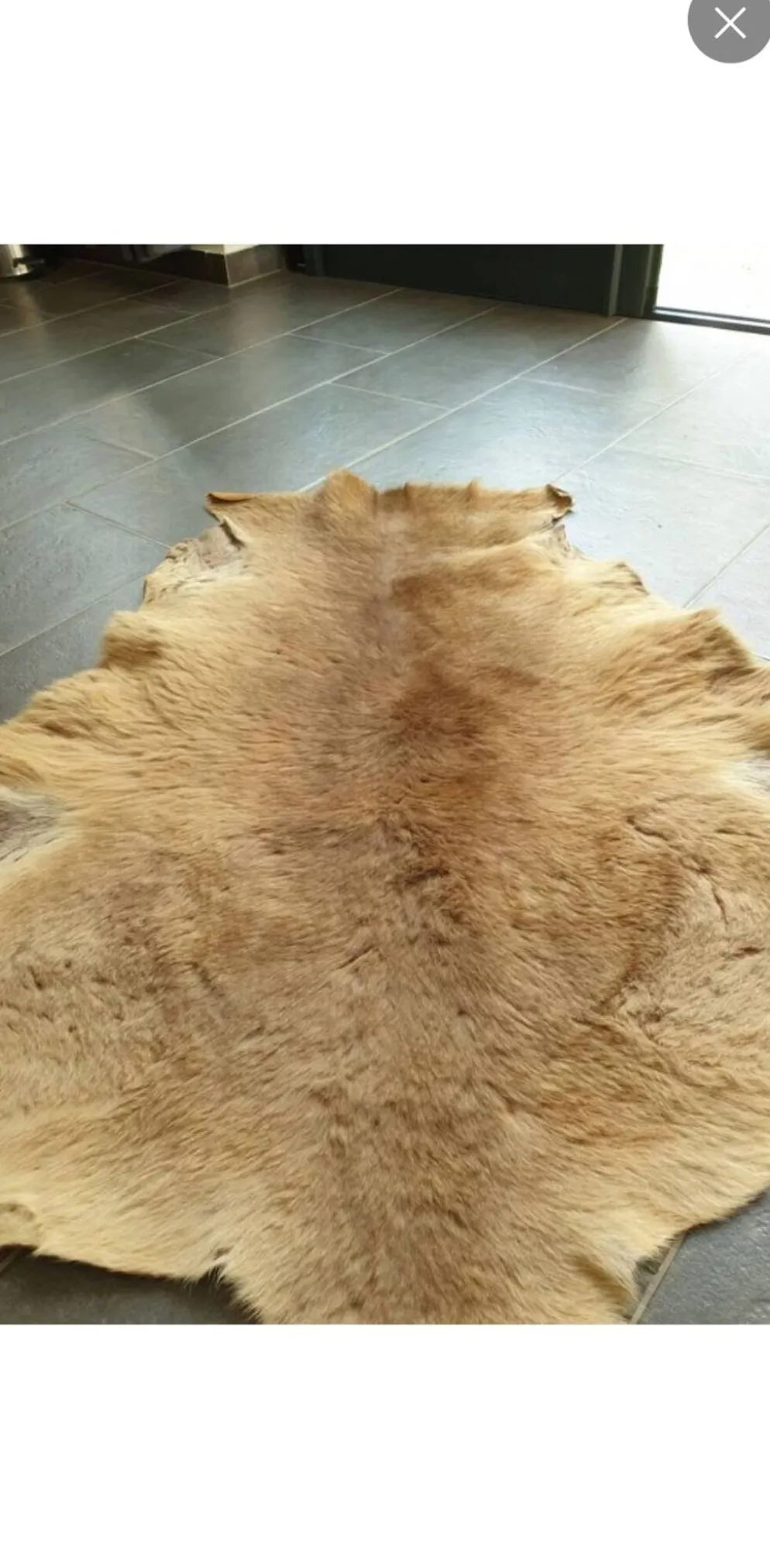 Peau de kangourou