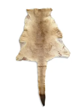 Peau de kangourou
