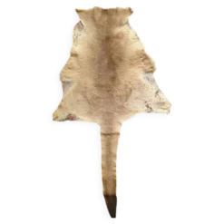 Peau de kangourou