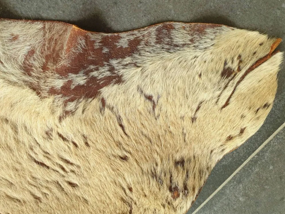 Peau de kangourou