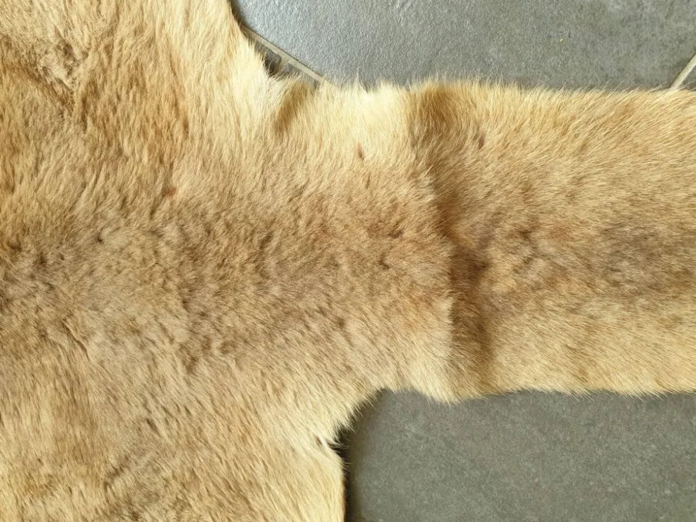 Peau de kangourou