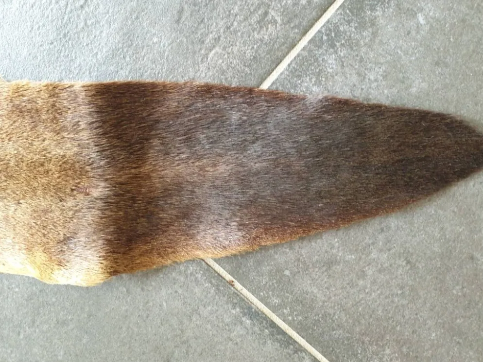 Peau de kangourou