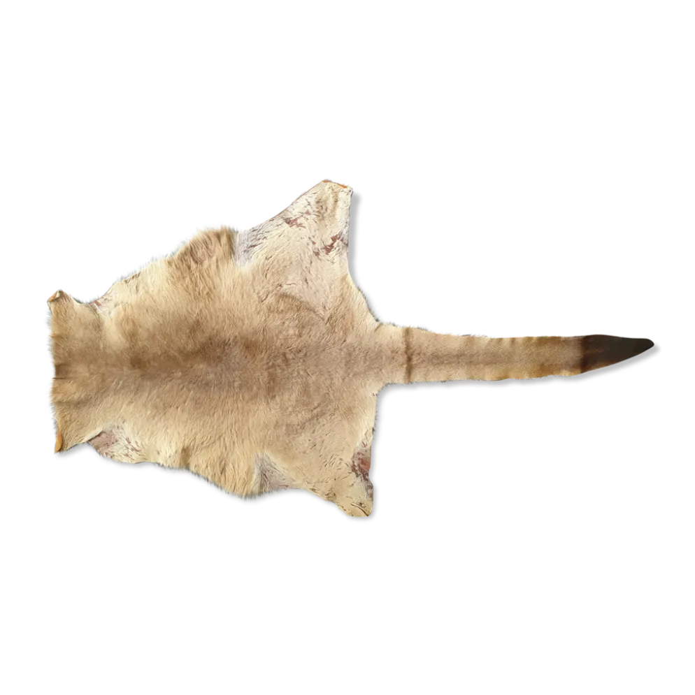 Peau de kangourou