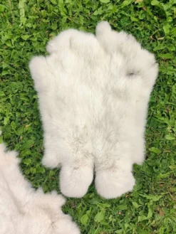 Peau de Lapin véritable