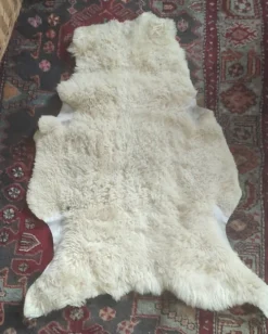 Peau de mouton