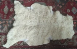 Peau de mouton