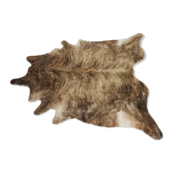 Peau de vache brindle brésilienne