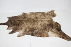 Peau de vache brindle brésilienne