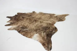 Peau de vache brindle brésilienne