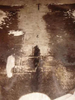 Peau de vache tannée années 70 - 77x95cm