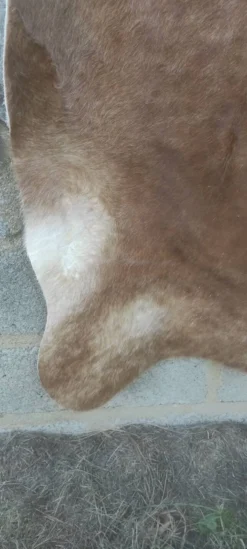 Peau de vache XL