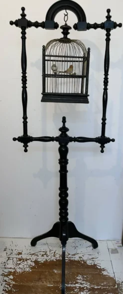 Perchoir oiseaux