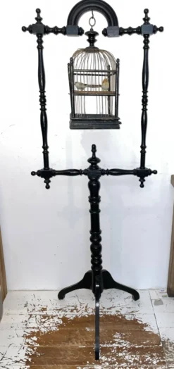 Perchoir oiseaux
