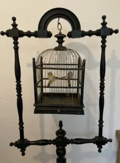 Perchoir oiseaux