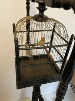 Perchoir oiseaux