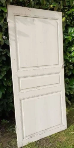 Petite porte de placard XVIII° h171,5x87,5cm ancienne
